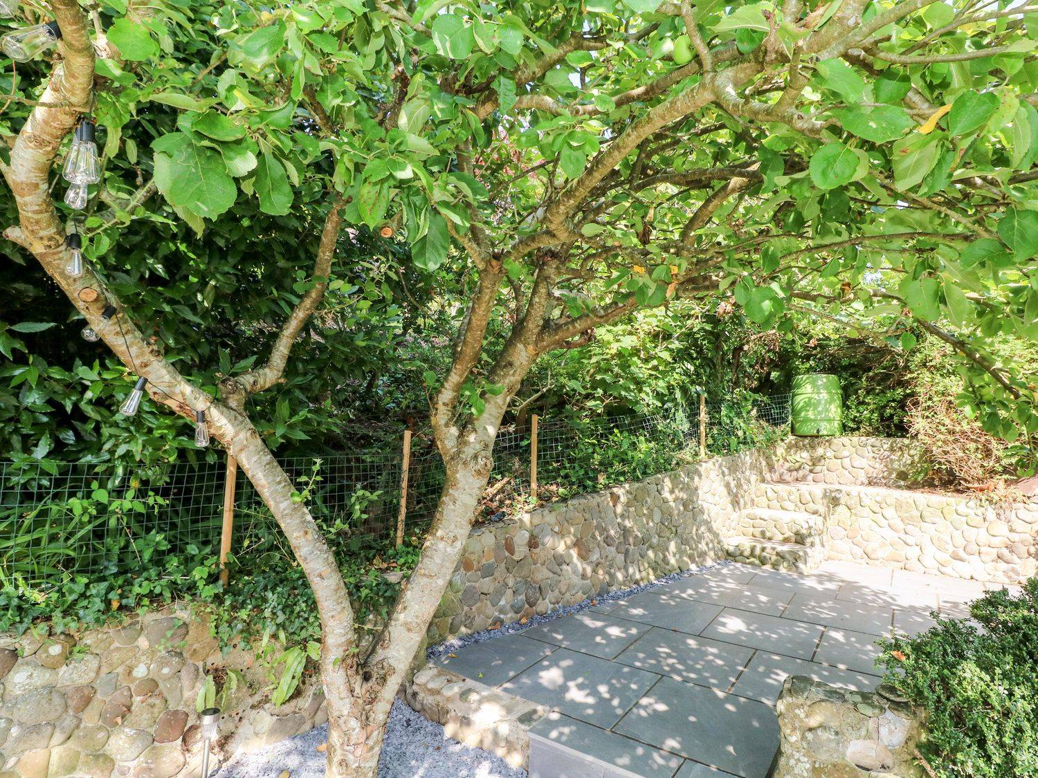 Garden under the trees